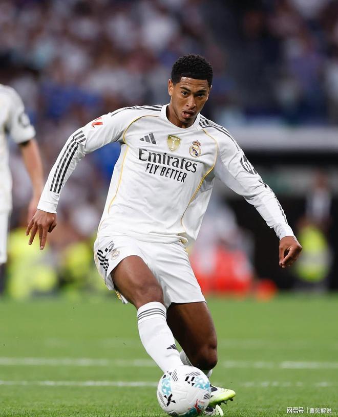 野辅联动与 野辅联动与