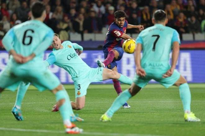 门店权益 门店权益